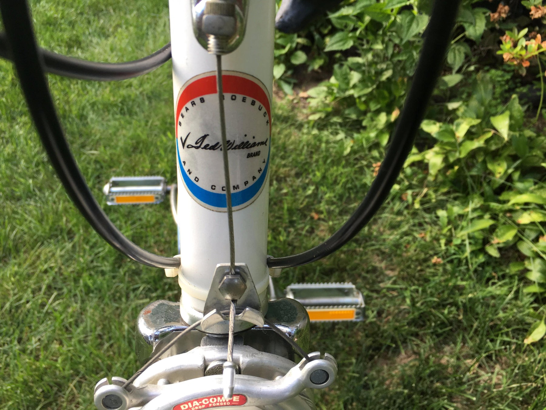 Free spirit store bicycle sears roebuck